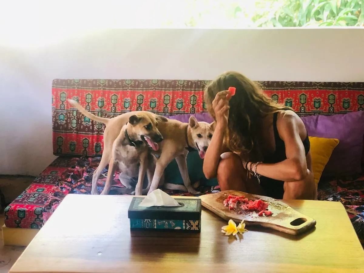 Πανσιόν Balangan Inn Surf Homestay Jimbaran